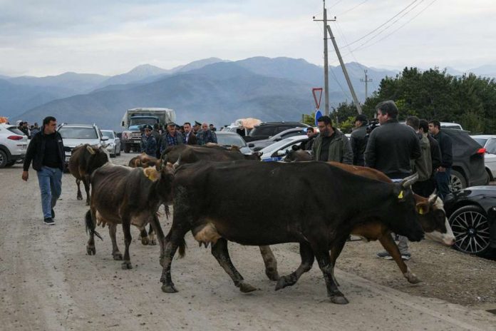 armeni