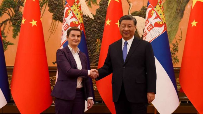 brnabić kina
