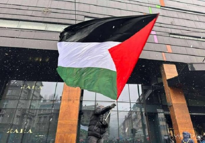 zara palestina