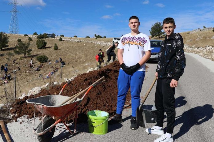 mujaga koamdina