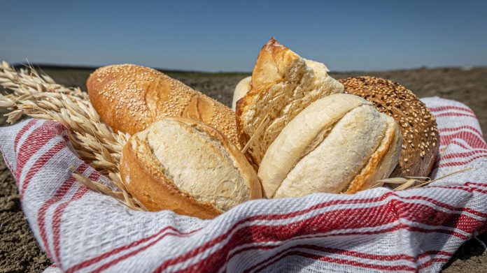 pecivo