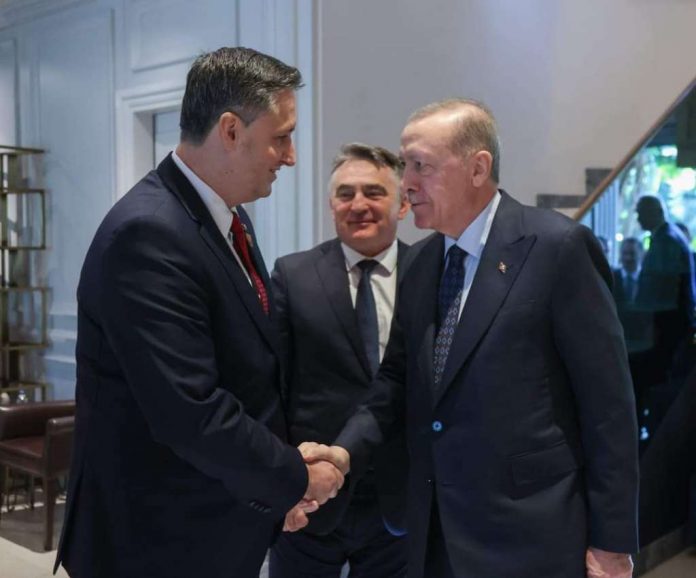 becirovic erdogan