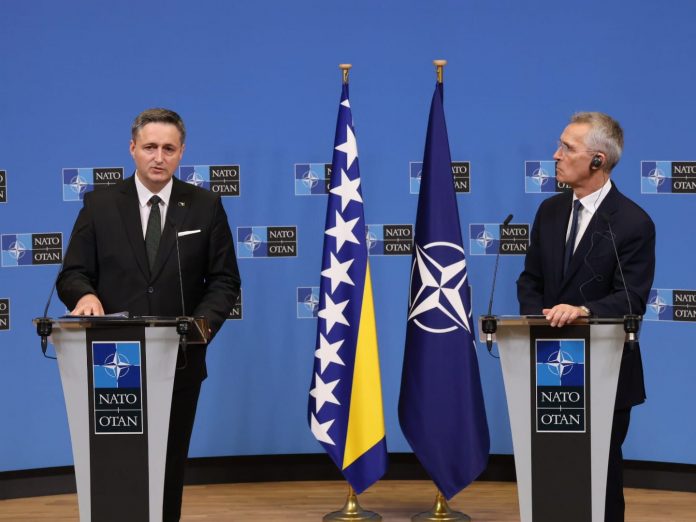 becirovic stoltenberg