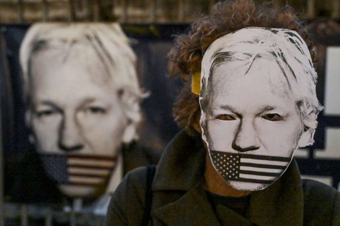 assange fena