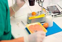 Salmonela u Mostaru: 11 osoba zatražilo pomoć u bolnici