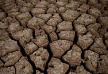 Vrućine više nisu klimatska prijetnja, već zdravstvena kriza