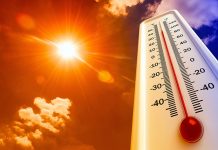 Nezapamćen toplotni val: U Skandinaviji temperature iznad 30 stepeni