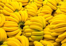 Francuska: Više od 40 kilograma kokaina pronađeno u isporuci banana