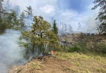 U Tuzlanskom kantonu ugašeno 11 požara, dva još aktivna