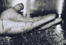 Epidemija šistosomijaze u Južnoj Africi: Bolest koja izaziva razne poteškoće