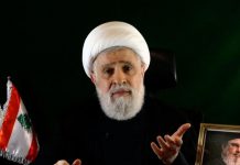 Hezbolah dobija novog vođu: Naim Qassem nasljeđuje Nasrallaha