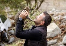 Pohvalan gest volontera u selu Zlate: Ispod urušenih ostataka kuće spasio mačku