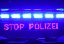 Državljanin BiH priznao da pola života vozi bez vozačke dozvole