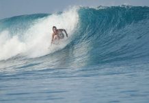 Tragično stradala influenserka: Ubila je sabljarka tokom surfanja