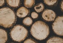 Uhapšen muškarac iz Bratunca koji je vozio drva bez papira