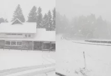 Snježna mećava stigla u BiH, bijeli prekrivač će do kraja dana prekriti veći dio države