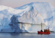 Surova ekonomija Arktika