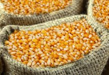 Veći otkup žitarica u BiH