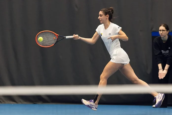 tenis