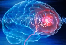 Istraživanje: Mozak prolazi kroz pet “era”, a adolescentska faza traje do ranih 30-ih