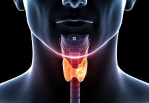 Hrana koja može poboljšati zdravlje štitnjače