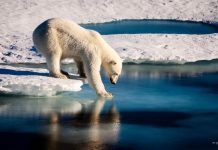 Klimatske promjene prijete opstanku EU