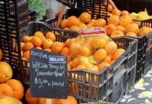 Šta se događa s našim tijelom ako svaki dan konzumiramo naranče?