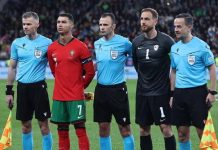 Irfan Peljto sudi derbi Danska – Portugal
