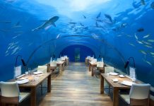 Zavirite u najveći podvodni restoran: Maldivska turistička atrakcija koja ostavlja bez daha