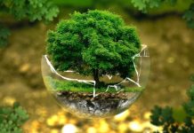 Srbija ulaže čak 3,5 milijarde eura u zelenu energiju