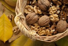 Ovu namirnicu stariji s izvrsnim pamćenjem ne preskaču, evo zašto