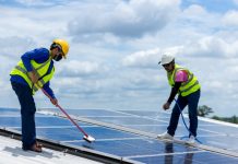 Čistili solarne panele i unijeli virus ptičje gripe na farmu? Eutanazirano 28.000 pilića