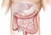 Ovo su četiri upozorenja da naša crijeva trebaju pomoć
