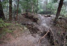 Na lokalitetu Curine njive formirane pukotine koje se šire i produbljuju