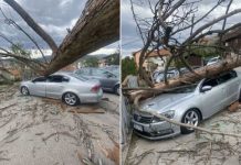 Haos u naselju Soukbunar: Drvo palo na automobil i smrskalo ga