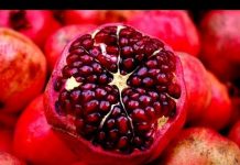 Evo koje grupe ljudi bi trebale izbjegavati konzumaciju nara