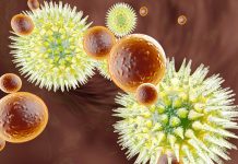 Naučnici otkrili virusni uzrok jednog od najčešćih karcinoma na svijetu