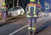 Mladić iz BiH teško povrijeđen u sudaru s jelenom