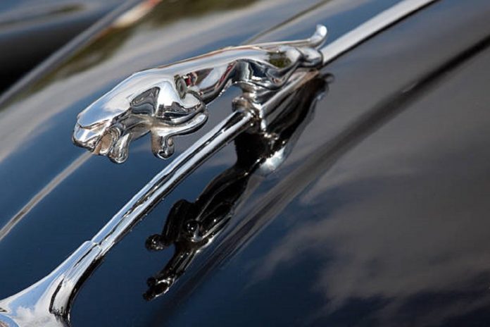 Jaguar