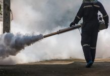 Četiri općine u BiH zajednički će suzbijati komarce