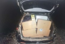 AKCIZNE MARKICE S KOSOVA: Granična policija BiH zaplijenila više od 12.000 kutija cigareta