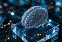 Još jedna kompanija pravi čip za mozak