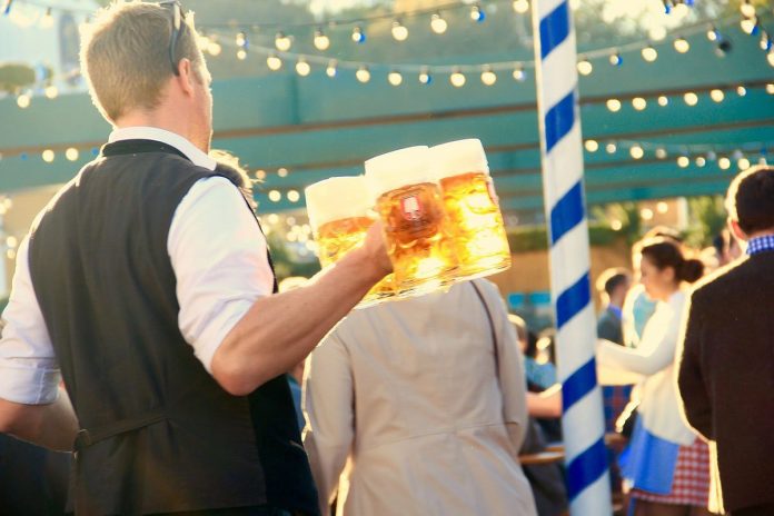 pivo 28 5