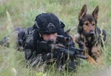 Ministarstvo odbrane Srbije prodaje službene pse, cijena od 6,50 KM
