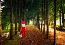 Finski model sreće: Ove 3 svakodnevne navike čine ih najsretnijim na svijetu