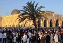 Hiljade Palestinaca jutros klanjalo bajram-namaz u džamiji Al-Aksa