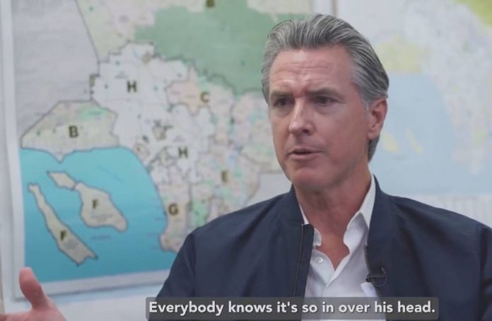 Gavin Newsom