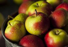 Lopovi u Hrvatskoj ukrali tone jabuka