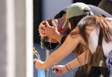 Kada vrućina “udari u glavu” – Kako toplotni talasi utiču na mozak?