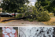 Nevrijeme zahvatilo Brčko, vjetar čupao drveće i rušio bandere